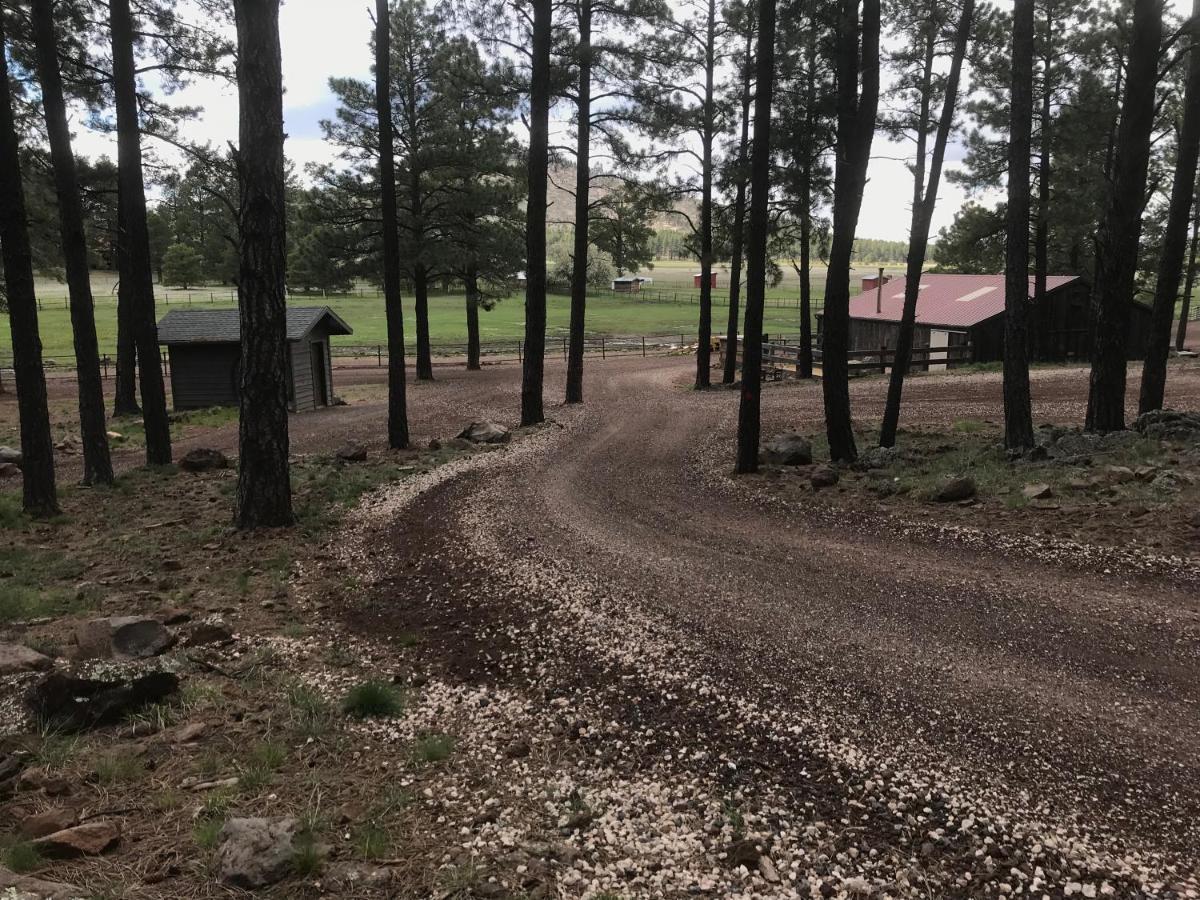 Grand Canyon 1Bd Loft/Suite-Horseback Riding-Shooting-Dogs Ok! Parks Luaran gambar